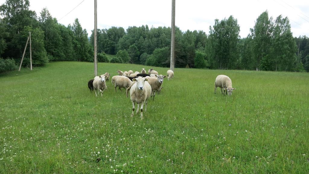 Maee Farm Villa Rõuge Exteriör bild